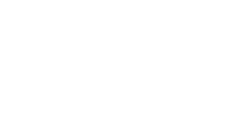 CSI Saddlepads