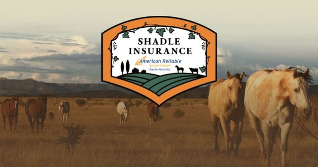 NTR Welcomes Shadle Insurance